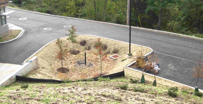 Green infrastructure in parking lot