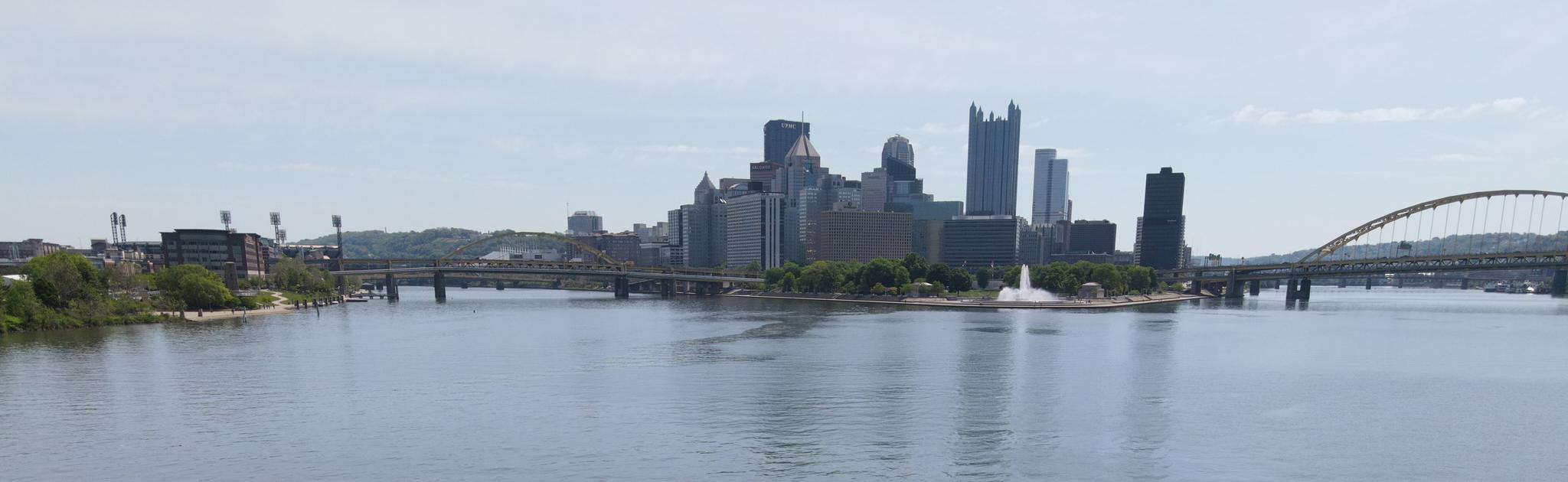 Pittsburgh Skyline from the point